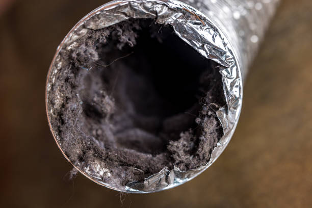 Best Air Duct Mold Removal  in Etowah, NC