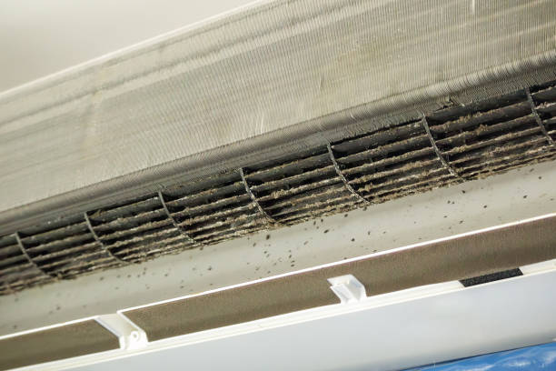 Best HVAC System Cleaning  in Etowah, NC